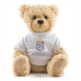 King Edward VI Stourbridge 50th Anniversary - Bracken Bear